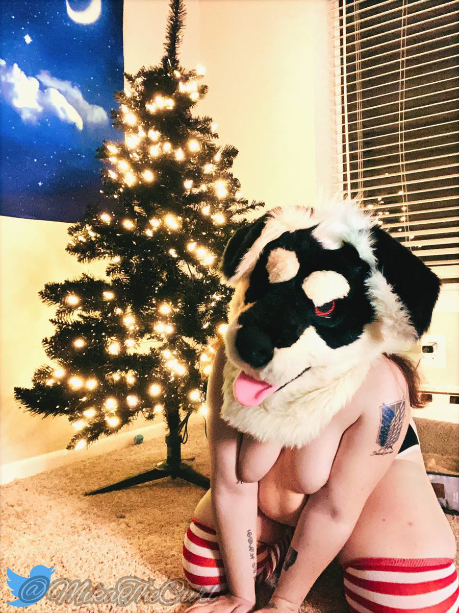 🏳️‍⚧️♿️Pup_Jesse(he/him) tweet media