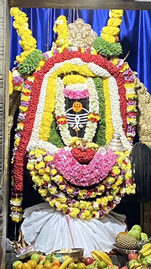 sumanthchandar's tweet photo. December photo dump...
#mobileclicks #iphone https://t.co/98LXHCYXI4
