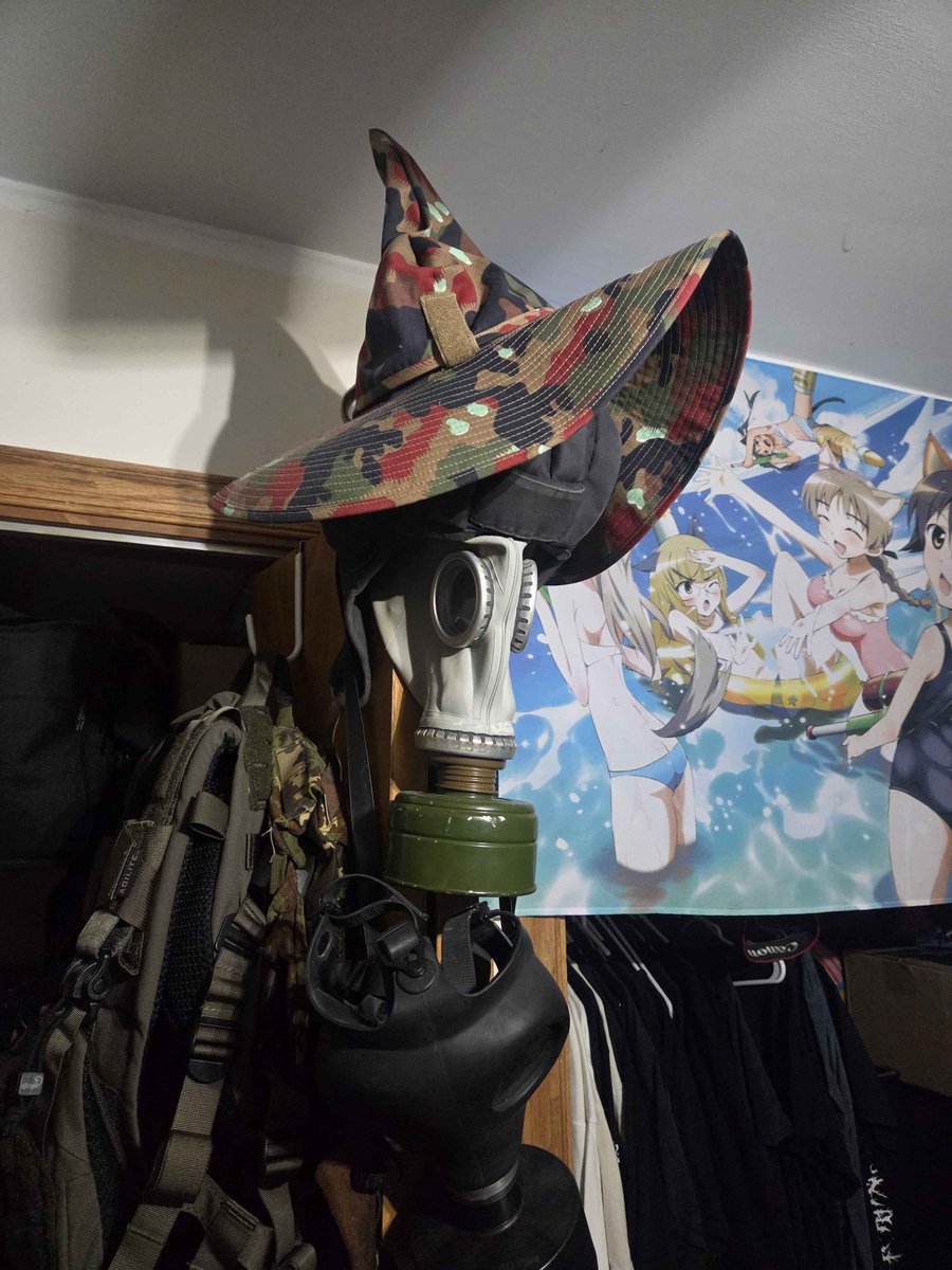 ProfPantsu's tweet image. this strange creature guards my room