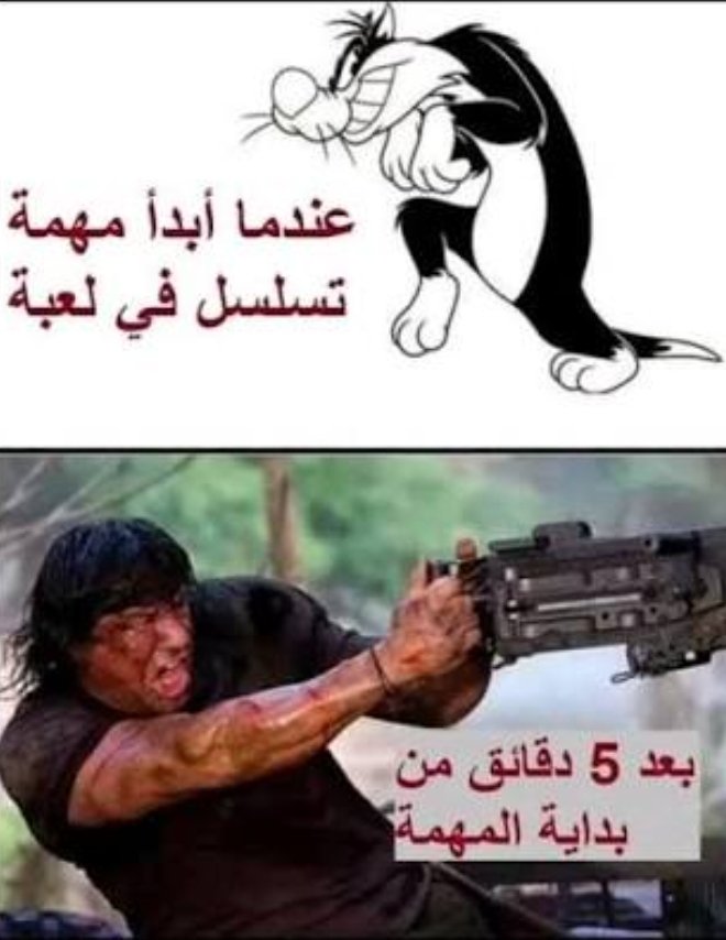 ღ 𝑅𝒪𝒮𝐸 (@ro_z1e) on Twitter photo 