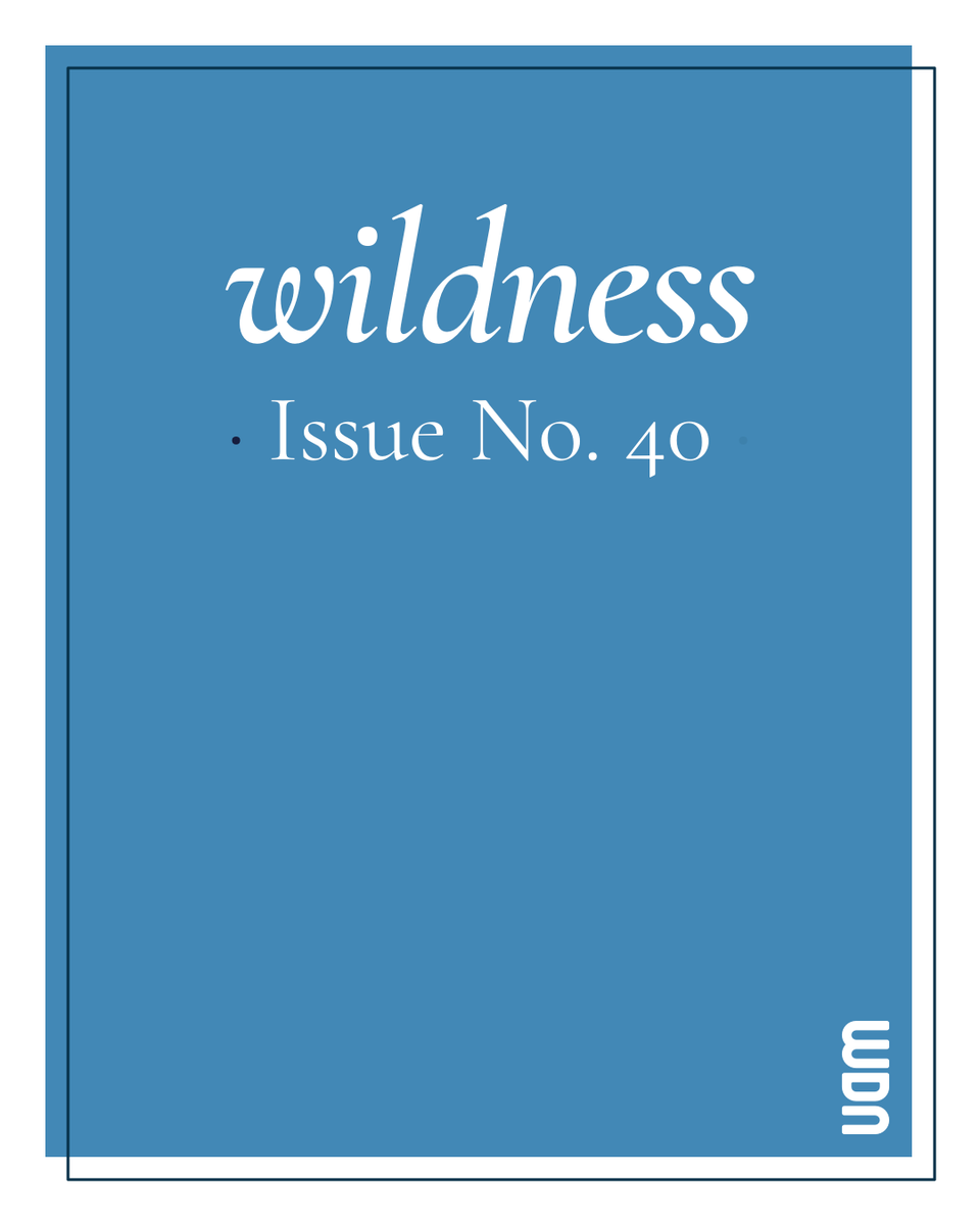 WILDNESS. a literary journal tweet media