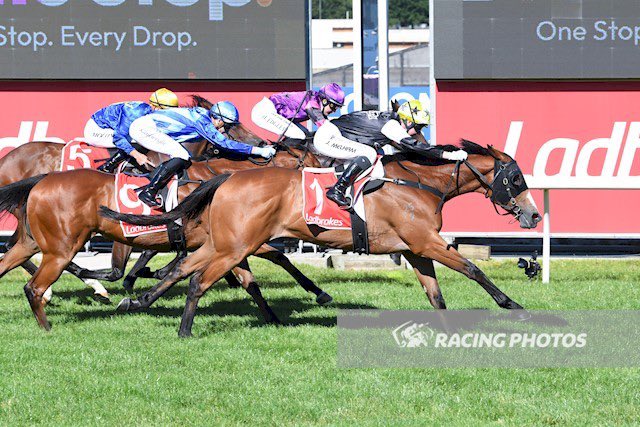KennewellRacing's tweet image. A very satisfying day to see Meridius return a winner 🥇 

He has been a good horse for the stable but it’s so rewarding when they come back like he has off a tendon injury. 

Big thanks to Lee Evison for his rehab and also our great team at home who care for all our horses on a…