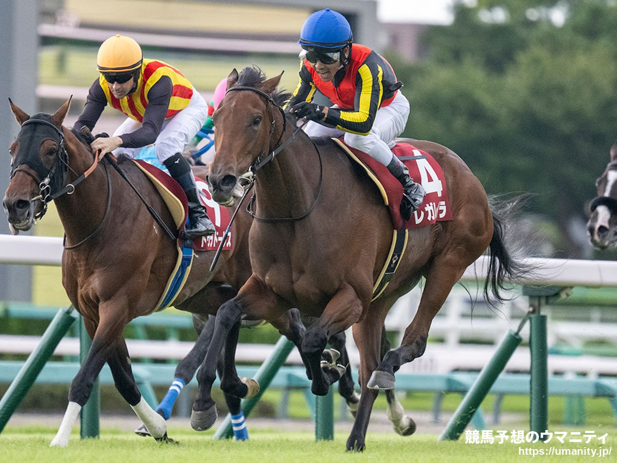 有馬記念2025】前日オッズ レガレイラが3.2倍で1番人気 12月28日（日