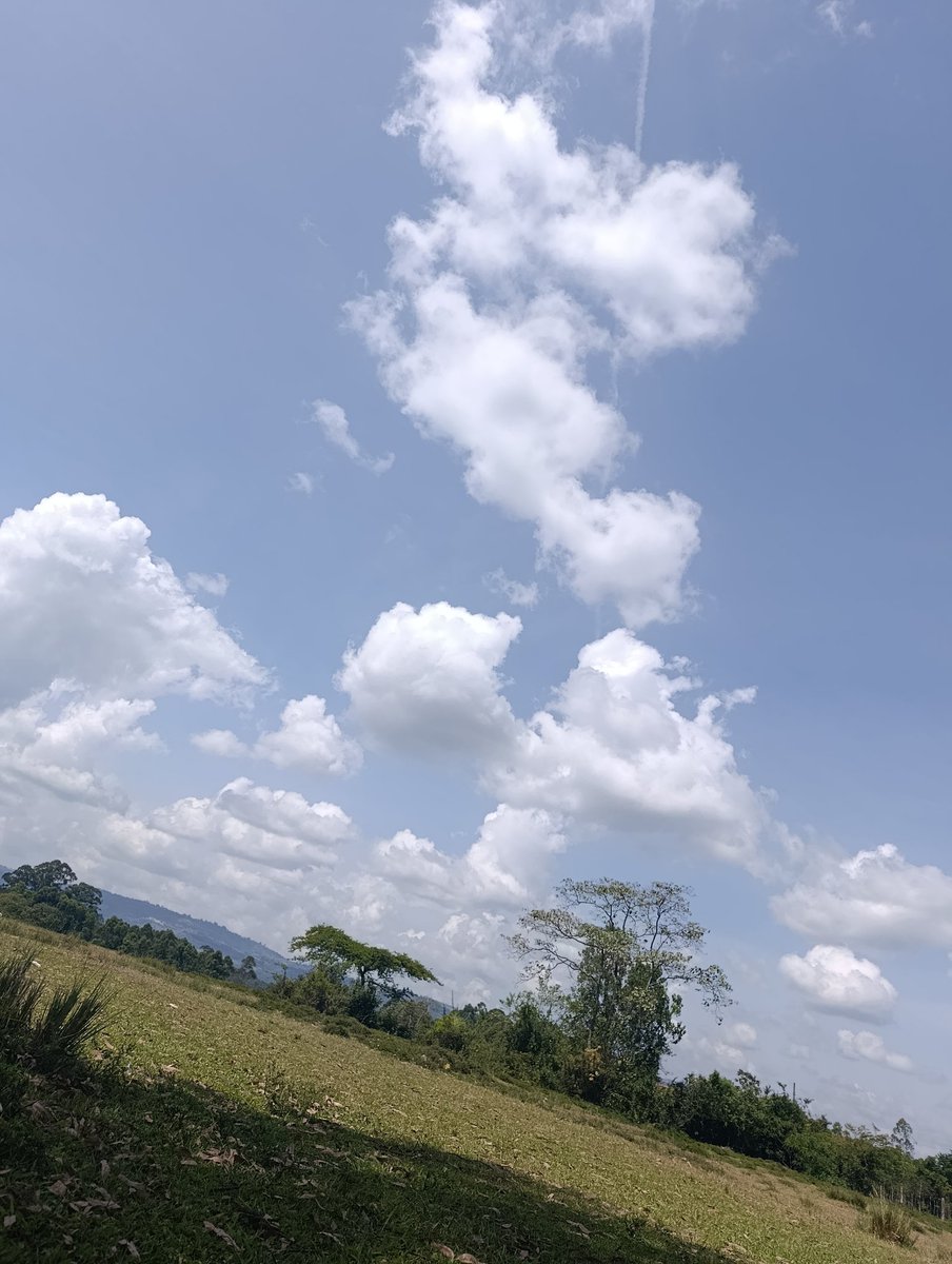 Kipsavie—j320i tweet media