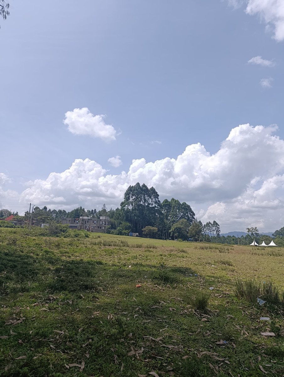Kipsavie—j320i tweet media