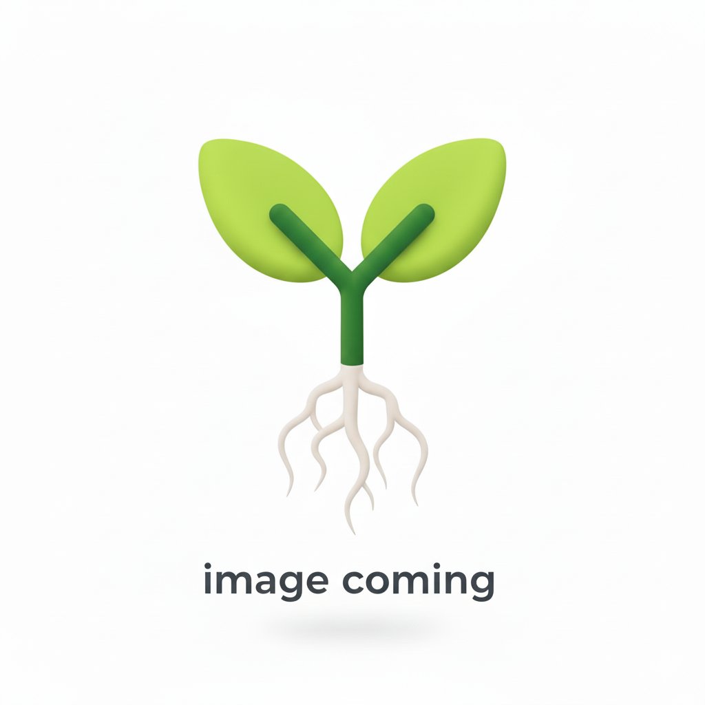 How to Propagate Morina persica  
propagate.one/how-to-propaga…