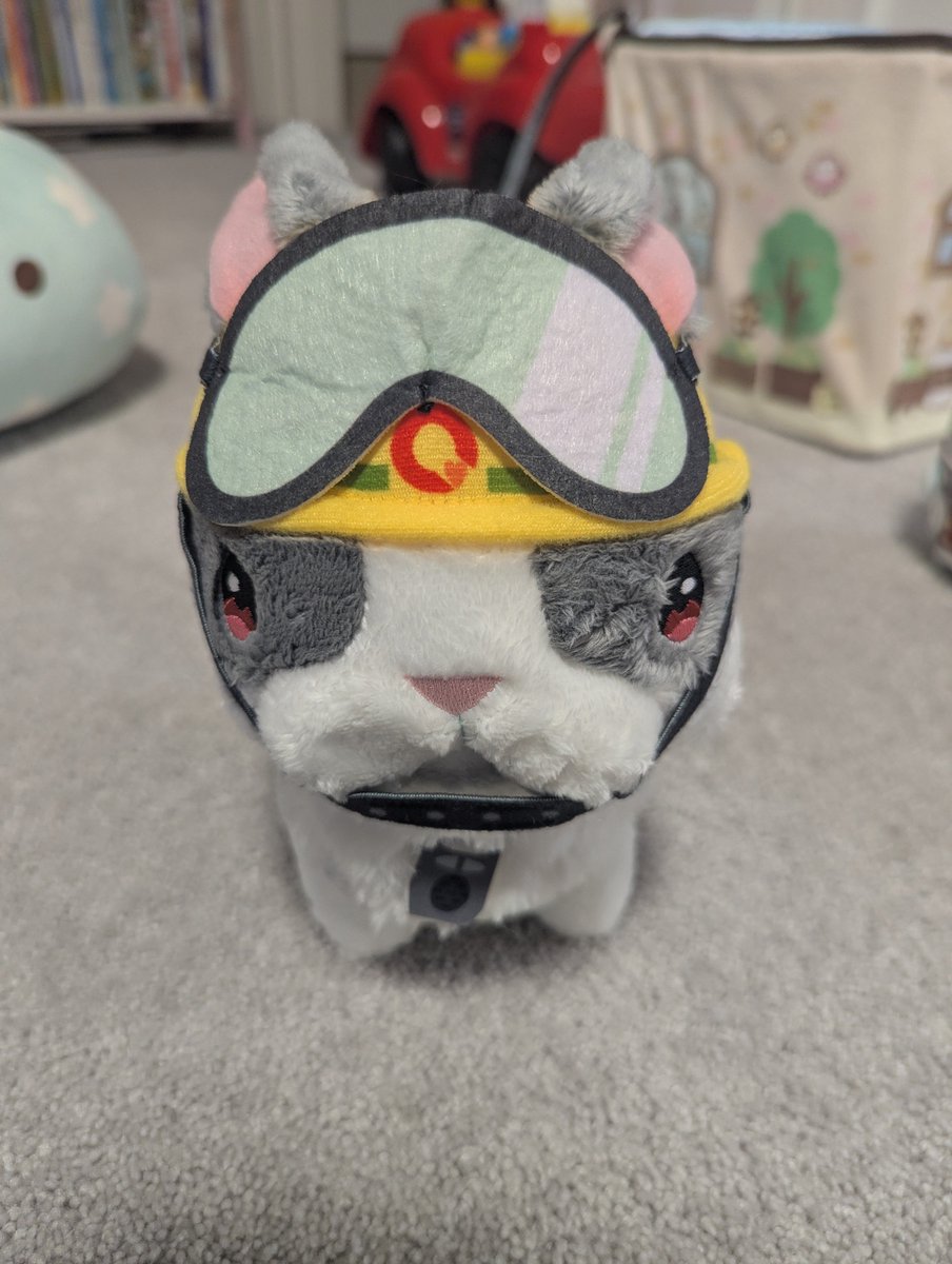 久しぶりに遊戯関連の物を購入。