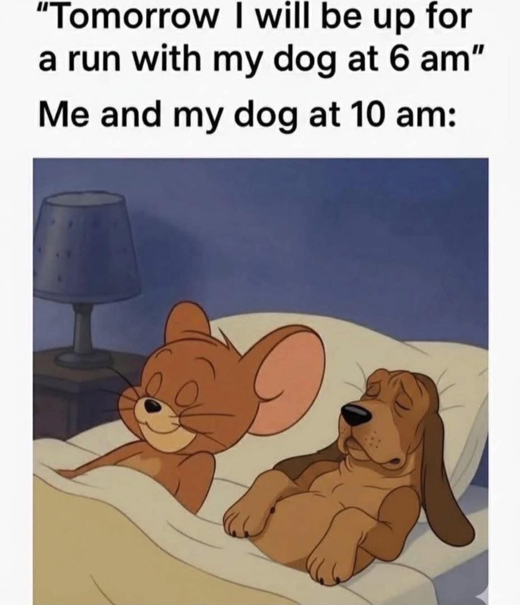 Puppies 🐶 (@puppiesiover) on Twitter photo 