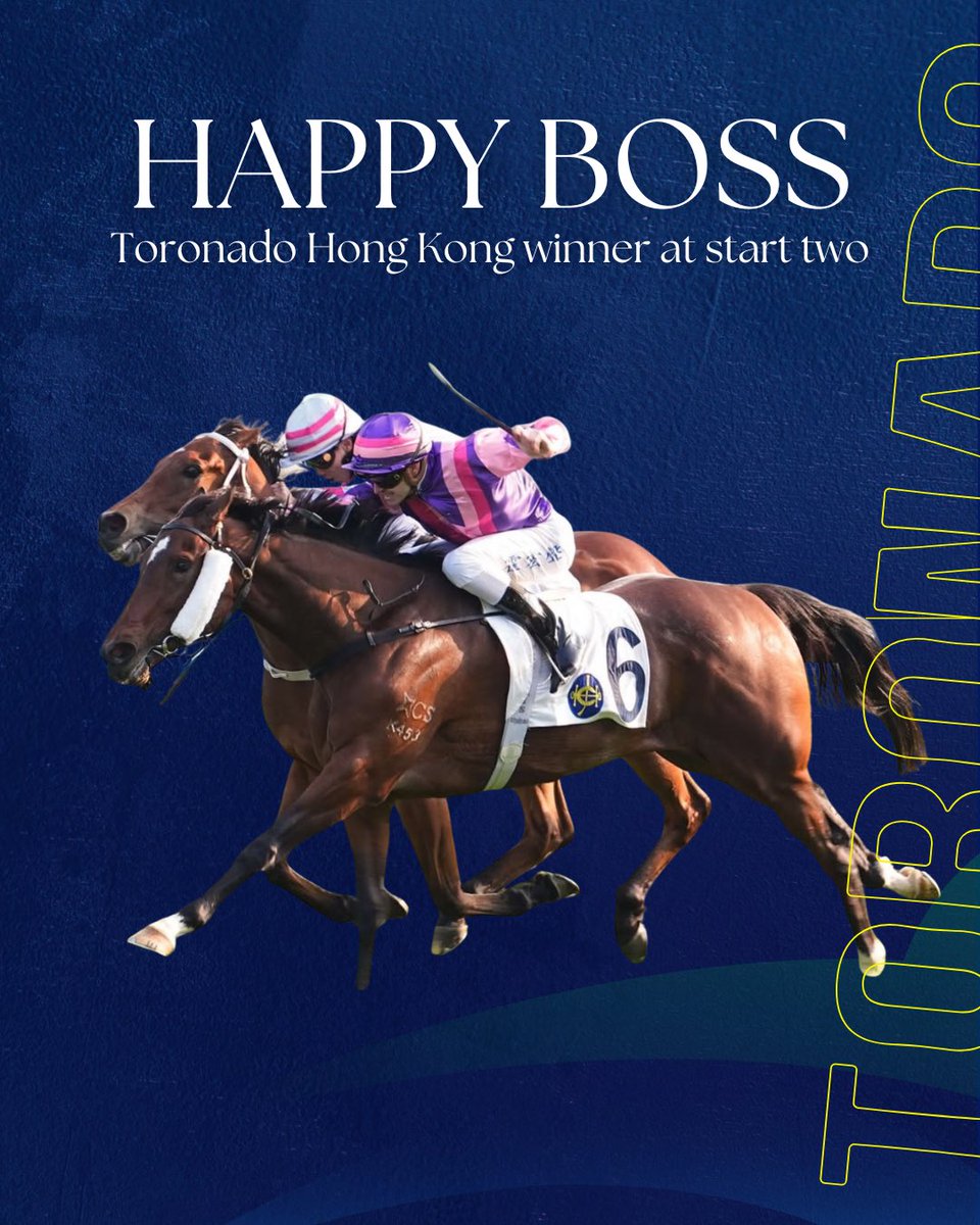 SwettenhamStud's tweet photo. Now that makes the boss happy! 🤩

TORONADO’s HAPPY BOSS scores a strong win for @EustaceRacing &amp; @LukeFerraris at start number two.

@NewhavenPark are offering the full brother @inglis_sales Premier 2026, out of Sebring Stakes winning mare Art Series! 👀 https://t.co/8TPd4hxrvJ