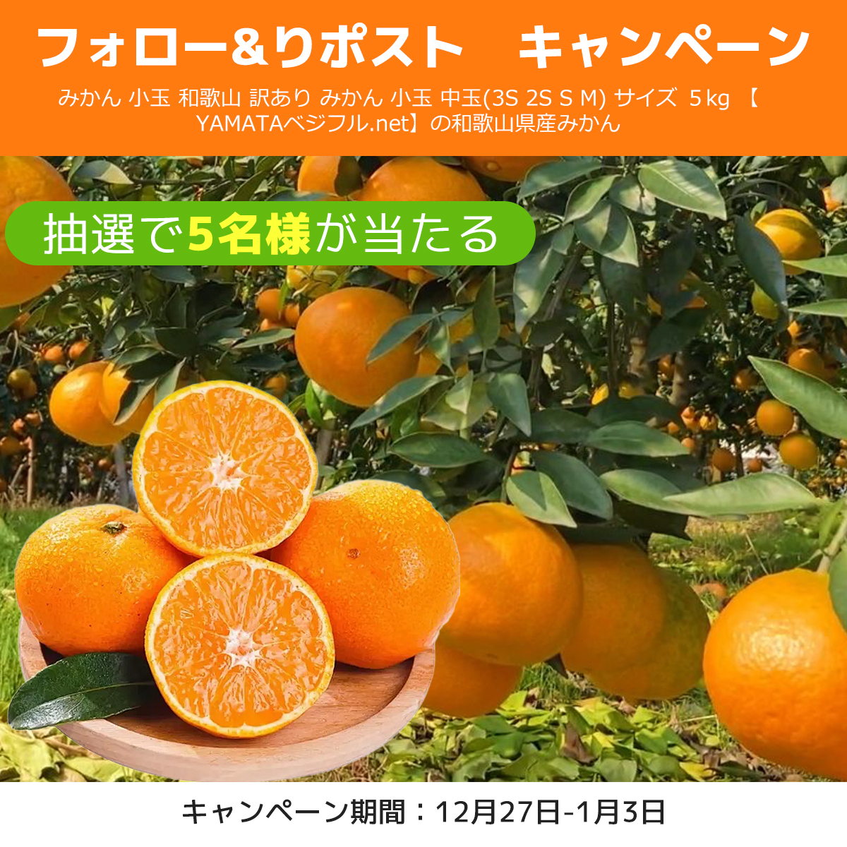 フードロス削減・お得情報・応援 (@papiup0728) / Posts / X