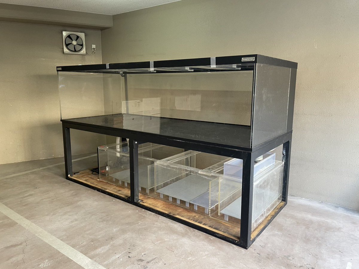中古水槽 カンテツ水槽 3000✖️1200✖️800 オーバーフロー水槽セット