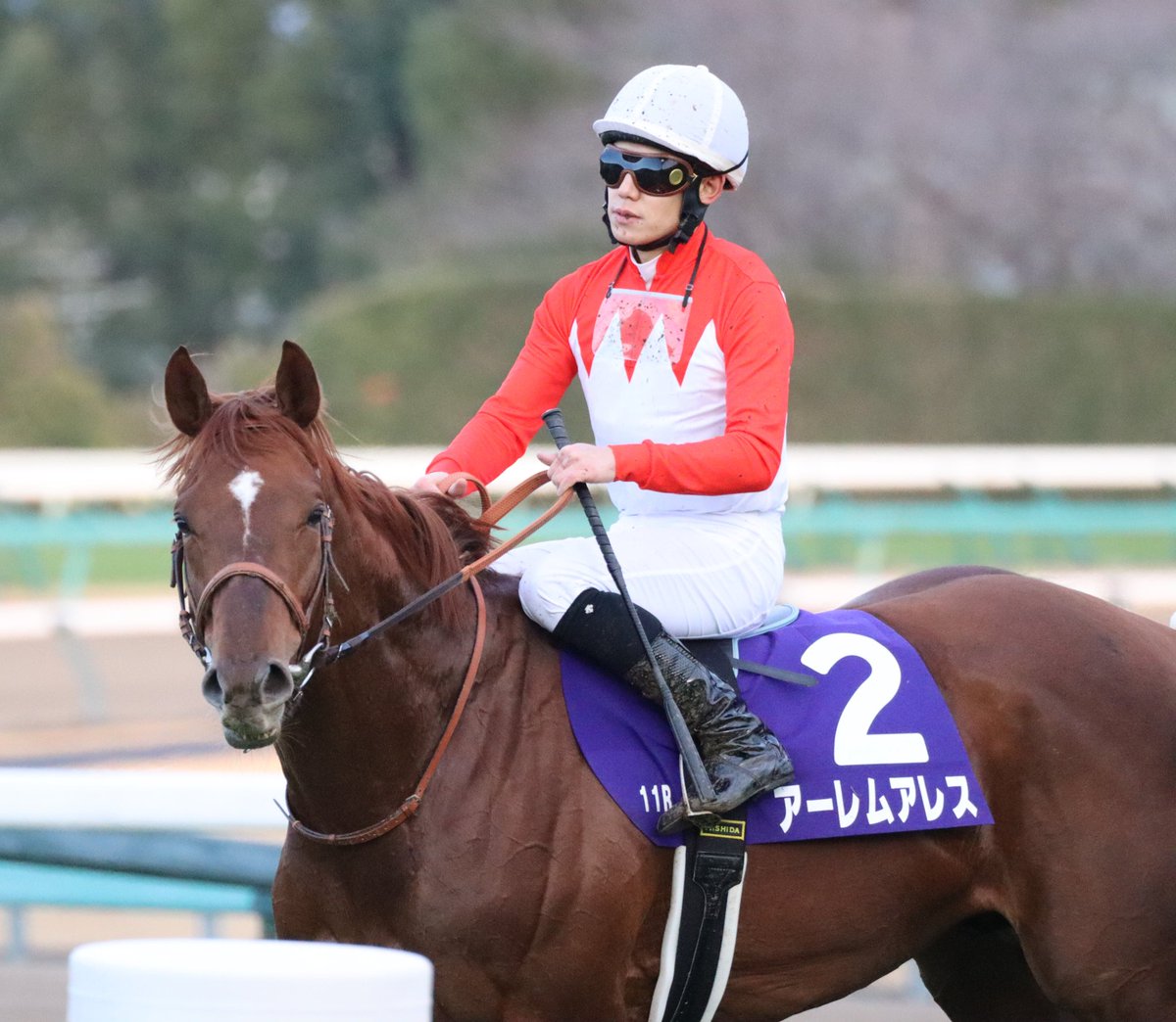 六六36 (@36_RokuRoku_) / Posts / X