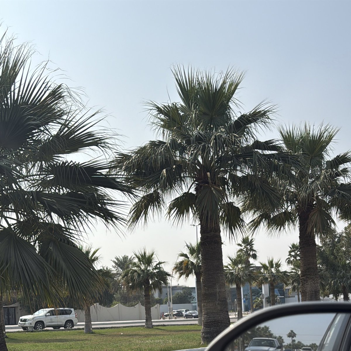 سبتيات وداعية حزينية وسعيدية عاد انتو حلوها