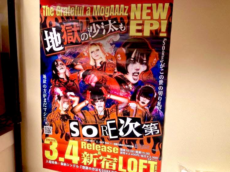 とりあえず現実逃避 レコード整理は置いといて 自室を大掃除 モガーズ