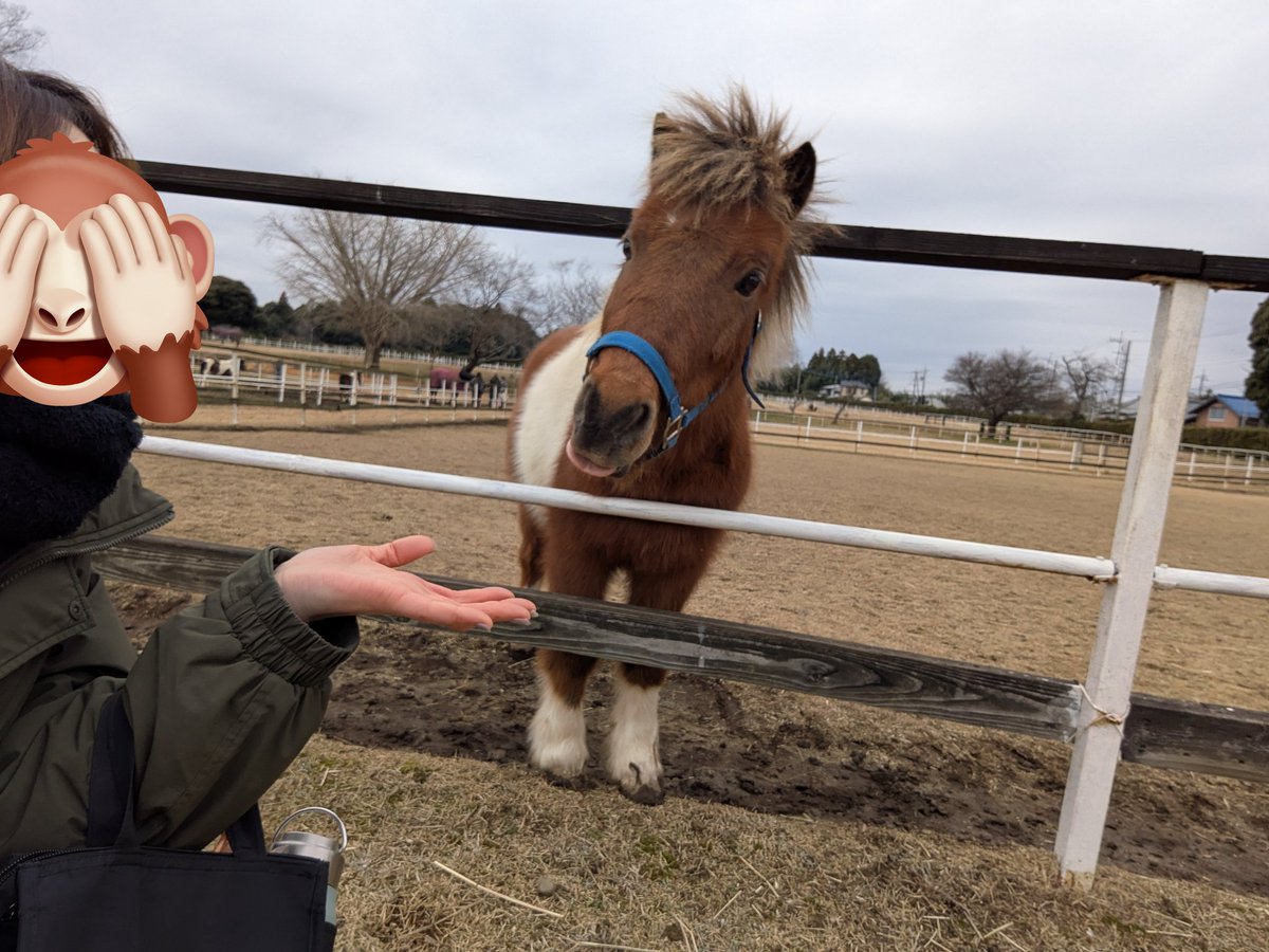 チャーリー君ページ　1点 Super7 スーパー7 | Peanuts スーパーサイクル チャーリー・ブラウン