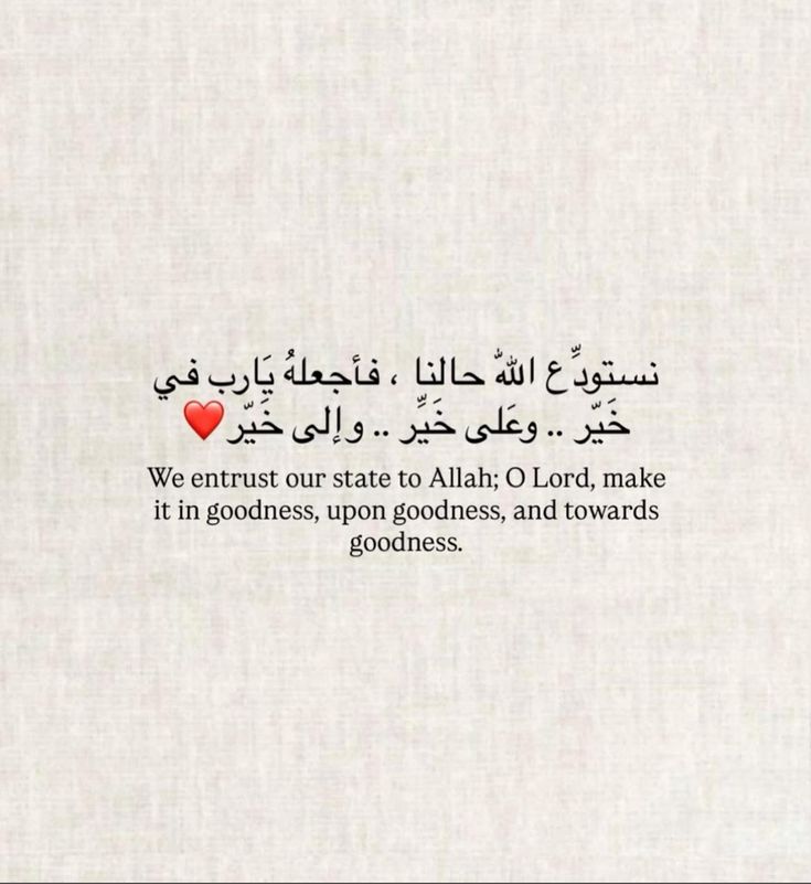مُطمئِنةَ.! tweet media
