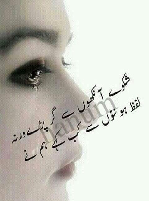 شکوے آنکھوں سے گر پڑے ورنہ....
لفظ ہونٹوں سے کب کہے ہم نے.....
Good afternoon