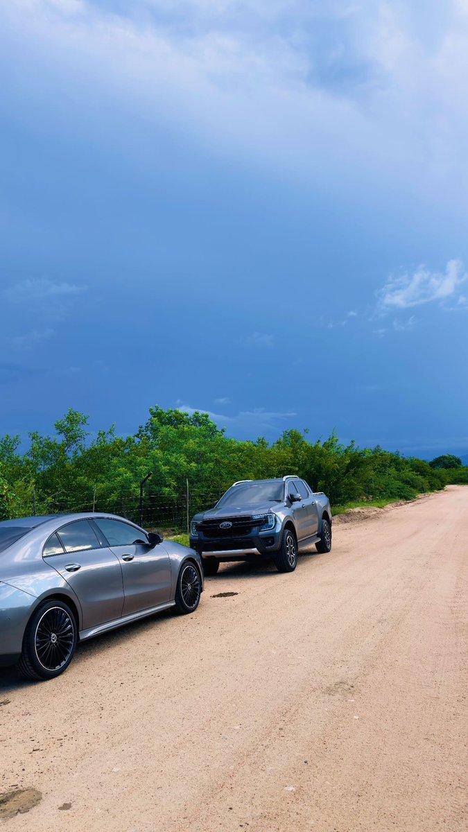 Meladi_M tweet media