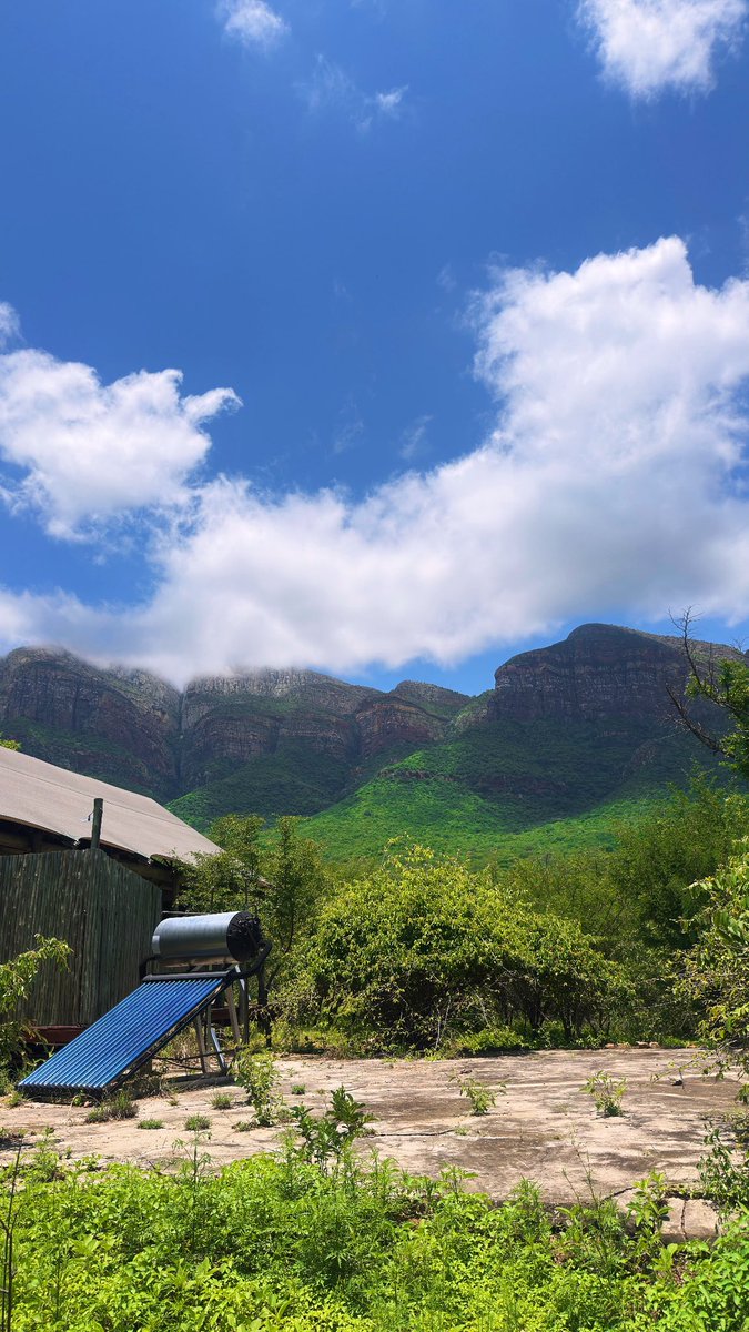 Meladi_M tweet media