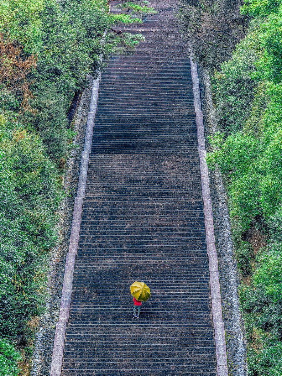 aybena's tweet image. 京都には絶望的な階段がある