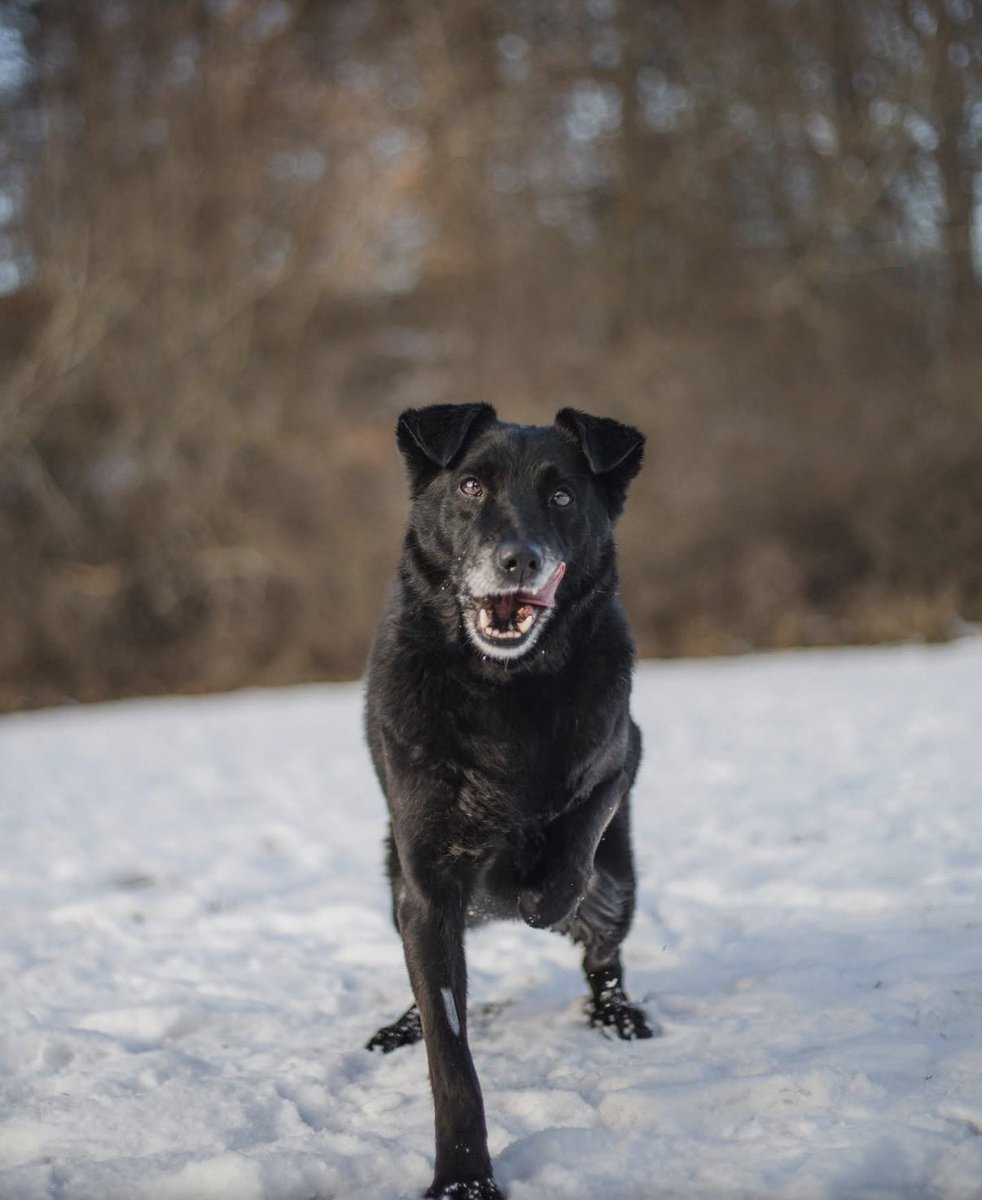Johnny F Kroneld tweet media