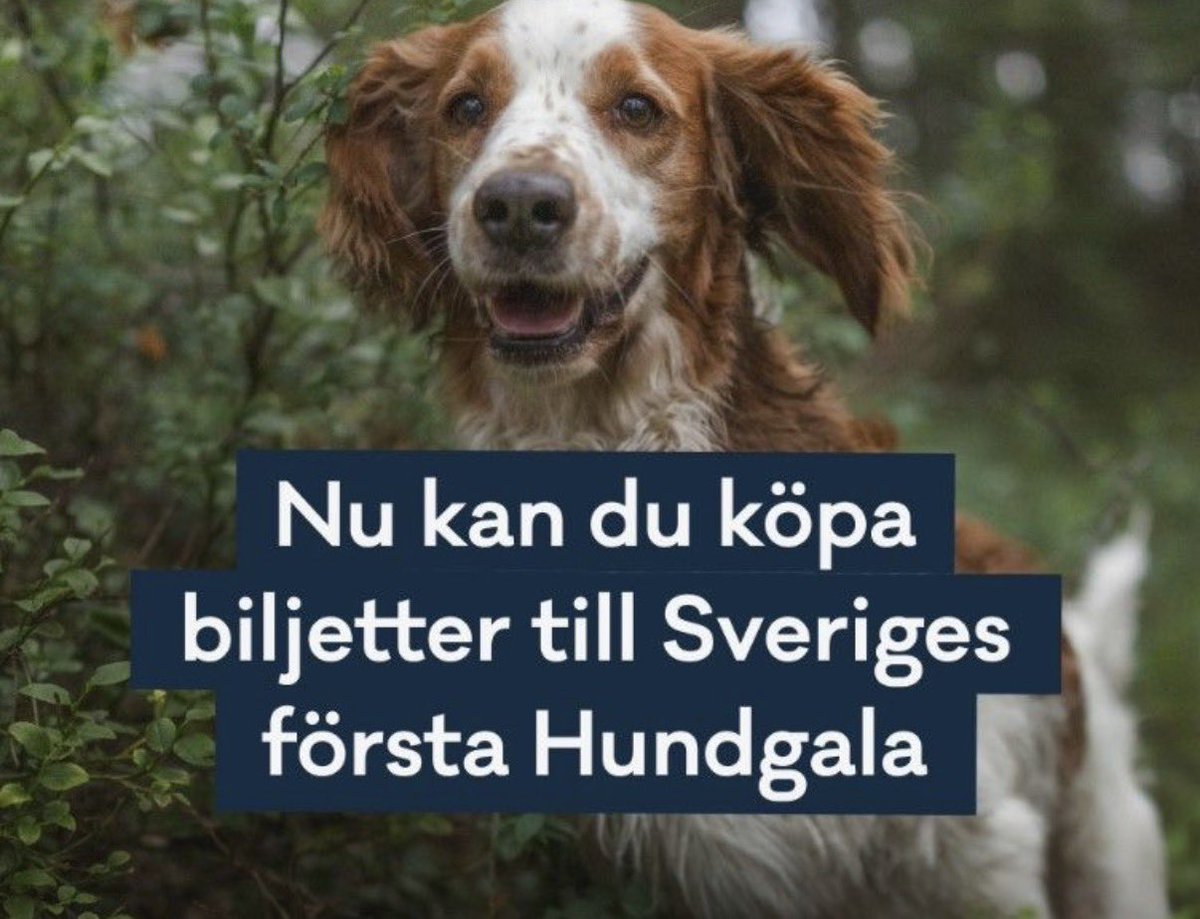 Johnny F Kroneld tweet media