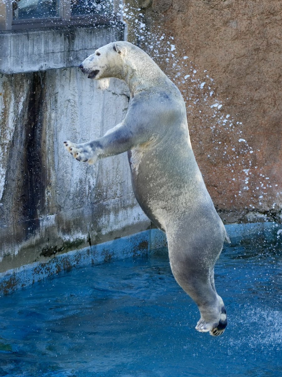 chie (@chie93730682) / Posts / X