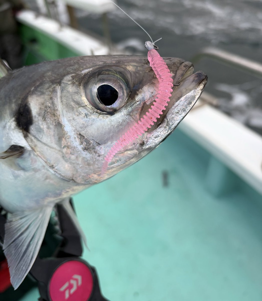 後2cmが遠いですよね！ でもすごい！！