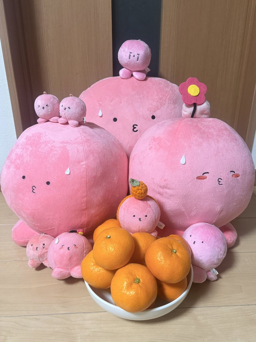 みかん☆さま確認ページ♡ ついに登場！『幻のみかん』！