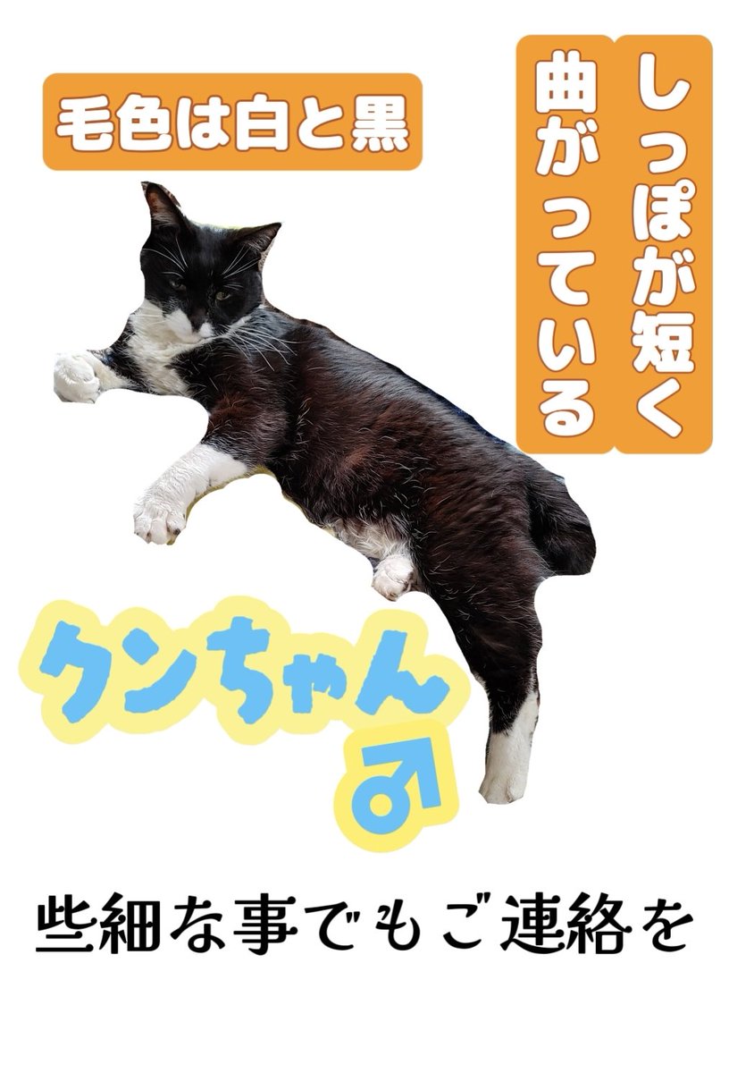 リズ (@Rizu_Seiten) / Posts / X