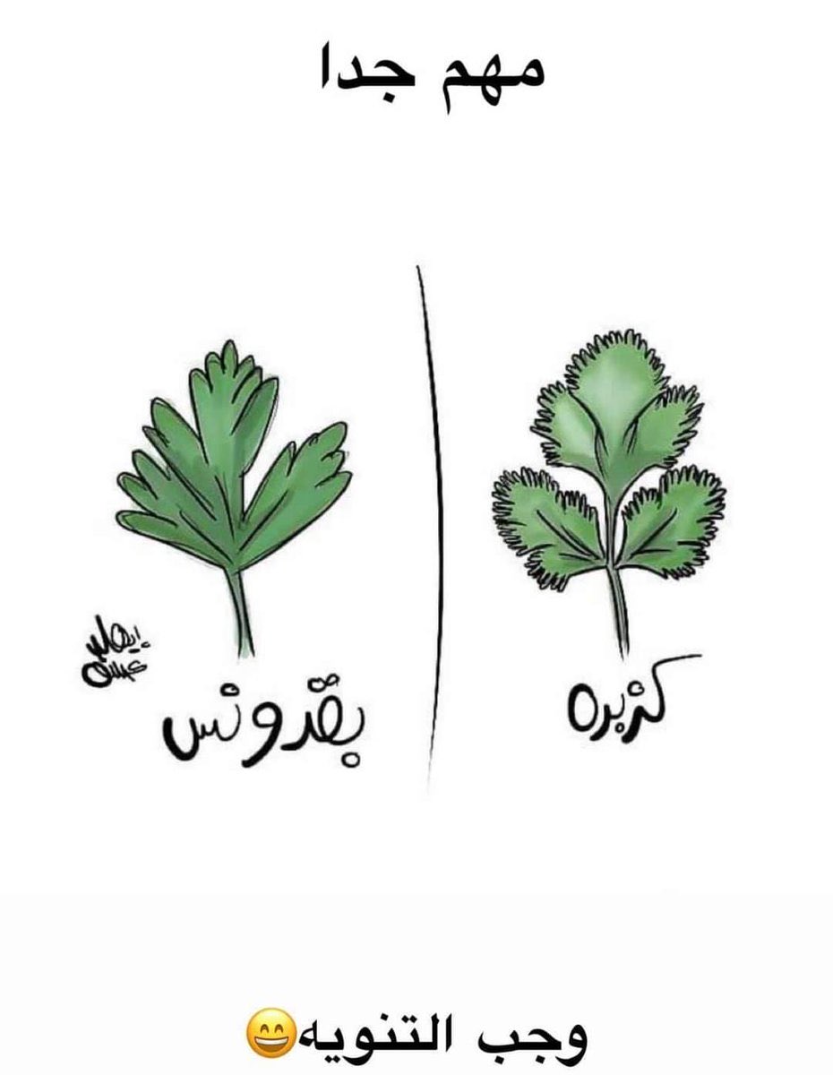 عبدالله البراك ابومحمد tweet media