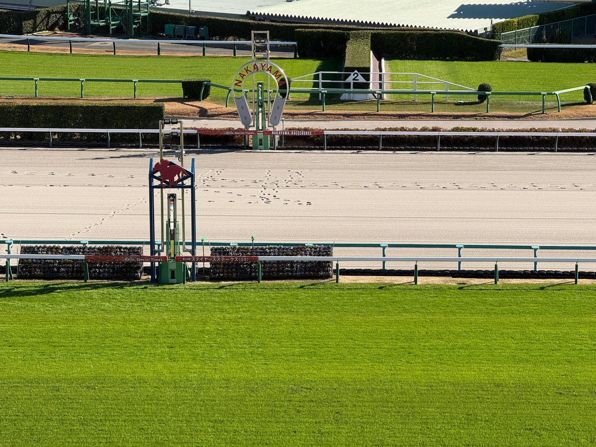 docomo's tweet photo. ／
🏇年末の夢のグランプリ有馬記念！
感動のゴールを見届けよう！
＼

本日は、ファン投票で出走馬が決まる年末最大の祭典 #有馬記念 🏆
多くの熱狂的なファンで賑わう中山競馬場の通信を支えるため、ドコモは盤石の対策を実施📶✨

✅ 移動基地局車を配備
✅ 新たに屋外スタンド対策局を追加

オッズ確認や動画投稿など、多くの利用が予想される中でも通信いただけるようサポートします。

#ドコモの通信改善の取組み