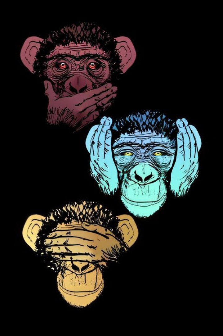 Speak no evil

Hear no evil

See no evil