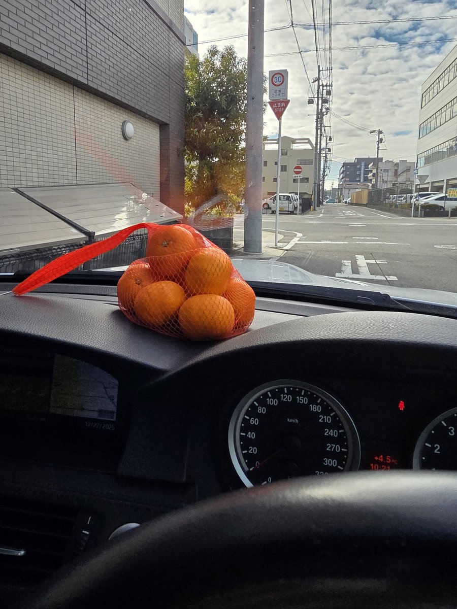 にっしさんのミカンと共に