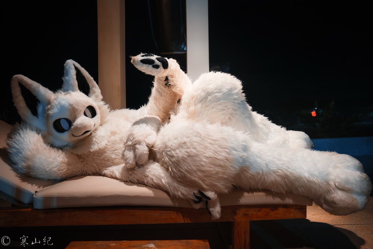 There is no Christmas tree, but you can make a wish to the Squid dog
📷：@寒山纪