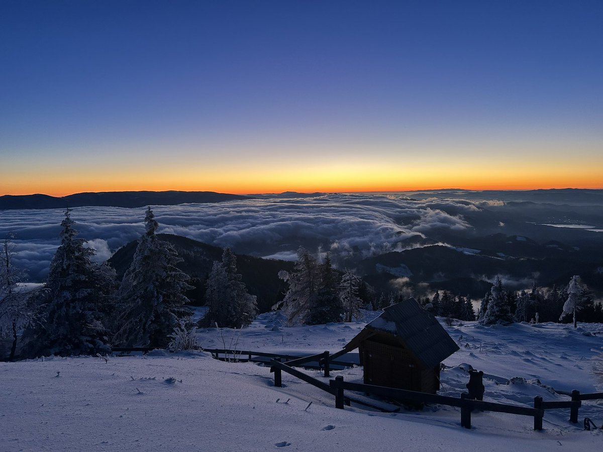 Ana Štruc tweet media