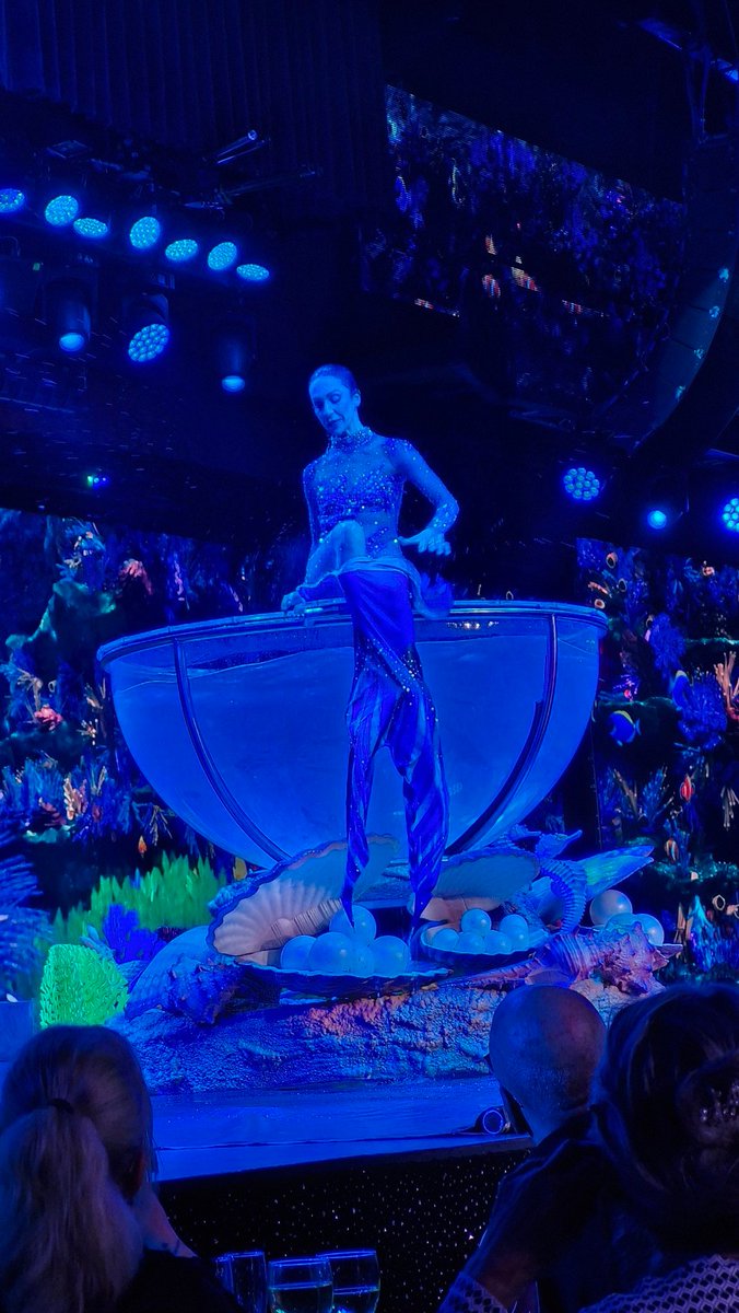 MMcCombie's tweet image. Good morning everyone 👋
Had a night at #BenidormPalace to see #Elements  Lovely meal and a good show.