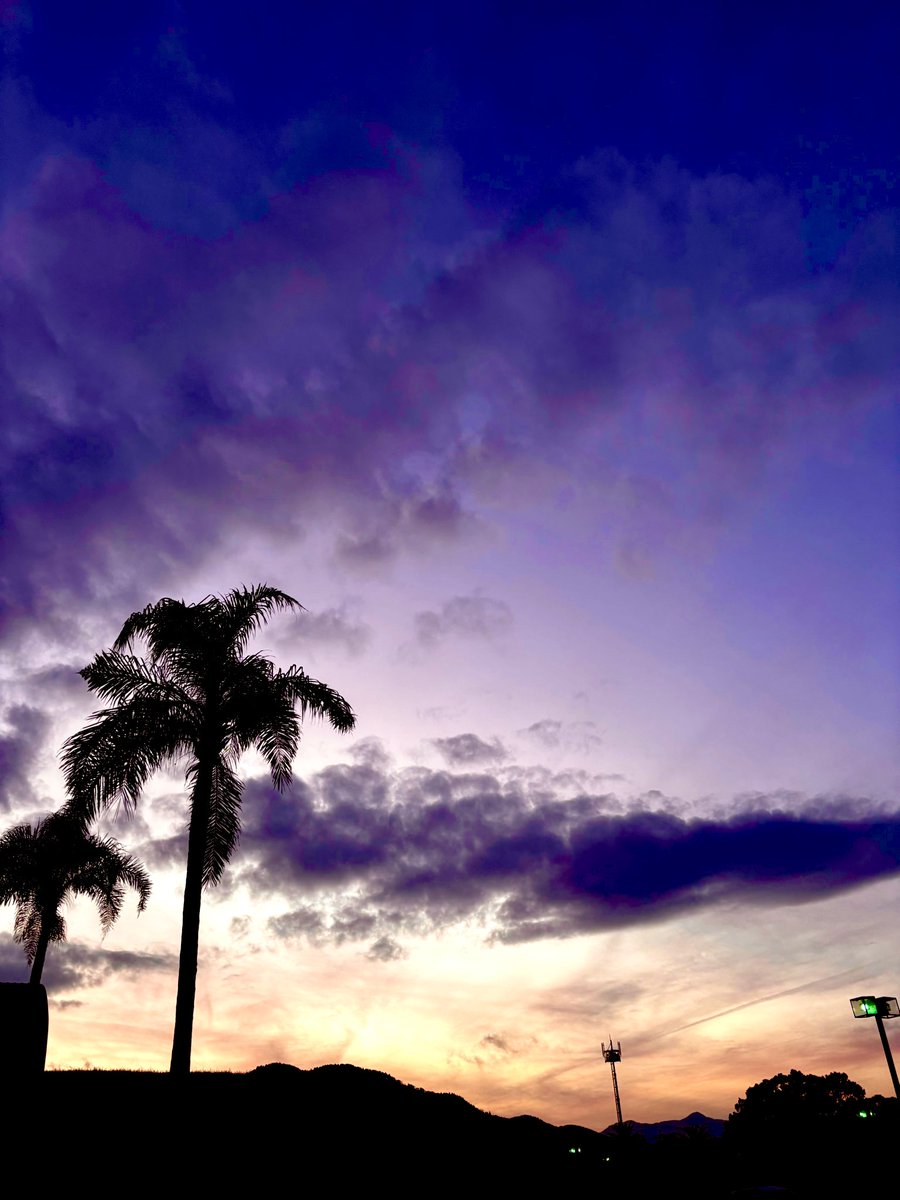 Morzat_Chopin's tweet photo. 空♡今年最後の土曜日だ♪
#空 #イマソラ #冬空 #夕空 #雲 #空色 #綺麗 #自然 #冬休み #sky #skylover #winter #sunset #cloud #skycolor #beautiful #nature #holiday https://t.co/X3KHusSyaE