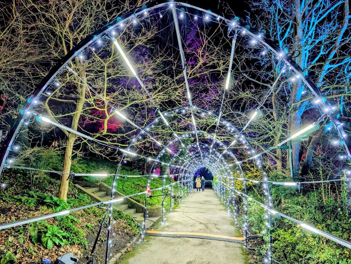 David ALDRED tweet media