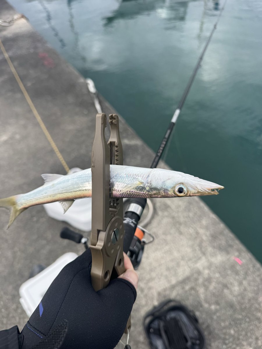 今日はアジ、カマス狙い。
何とか2人で15匹ぐらいで終了。
サイズは小さめ。
凸回避出来たなら上出来w