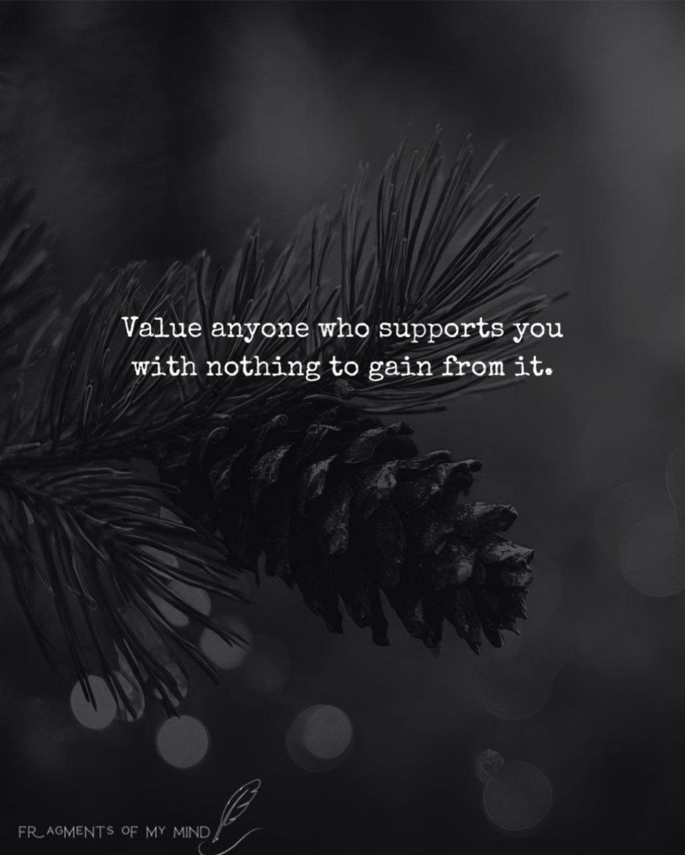 vegastarr's tweet image. ✨