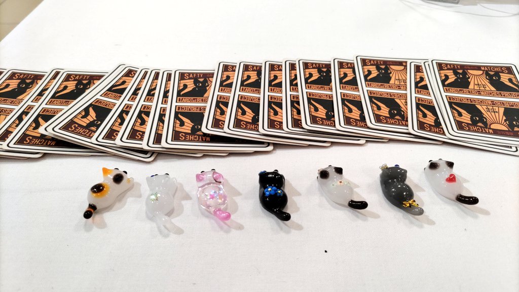 にゃんズが素敵体験しております✨