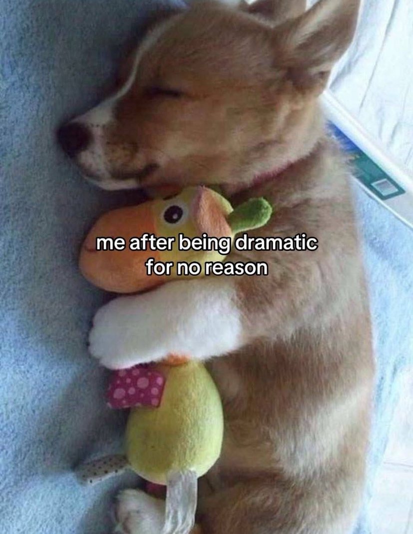 Out Of Context Animals (@animalscontexts) on Twitter photo 