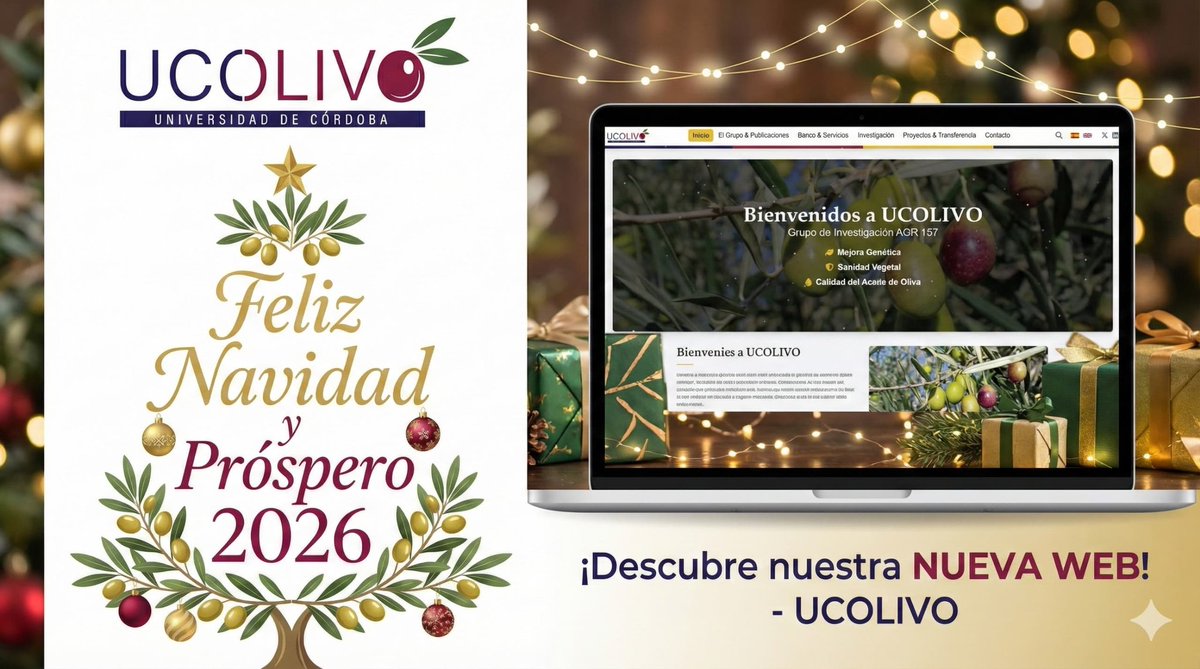 Grupo UCOLIVO tweet media
