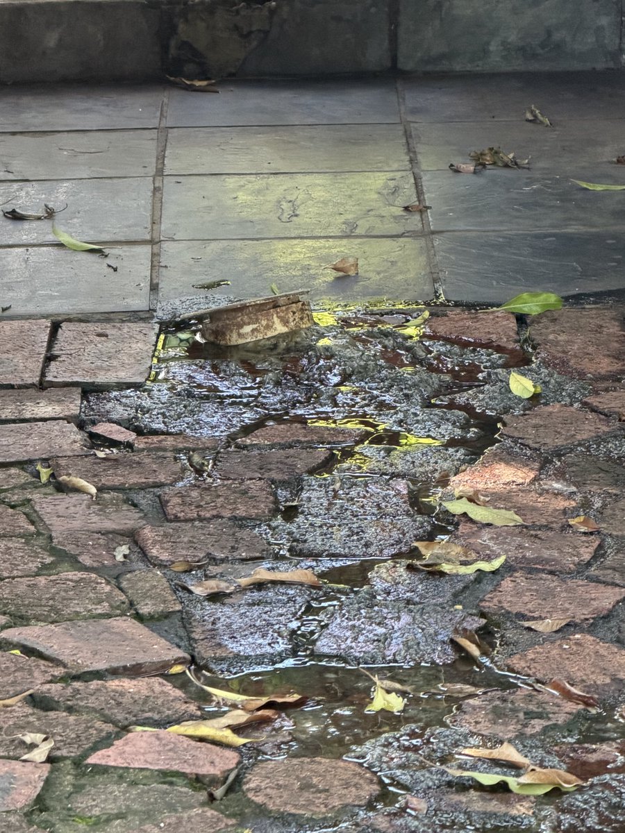 Tilly_Bloom's tweet photo. @JHBWater 
First call 22/12. Called every day since then. Council line blocked and affecting the houses on our street. Raw sewage. Please help!!! https://t.co/d0PgDKQUcp