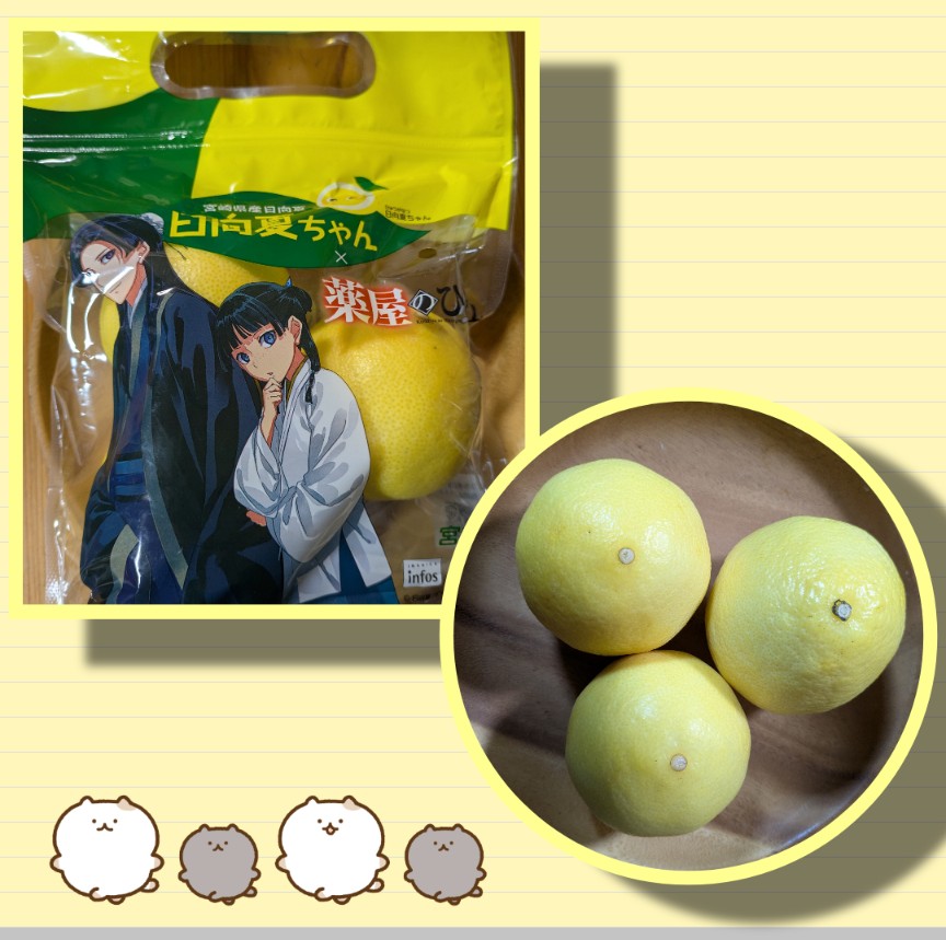 ※本日21:00迄※すみちゃん すみちゃん🌴🤍 (@XAVFIvQJmPR7kiK) / Posts / X