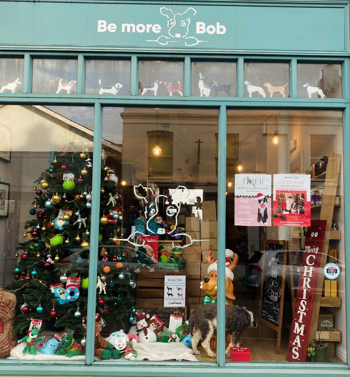 Local paws, we are open today 10.30-5.00 🐾 ♥️