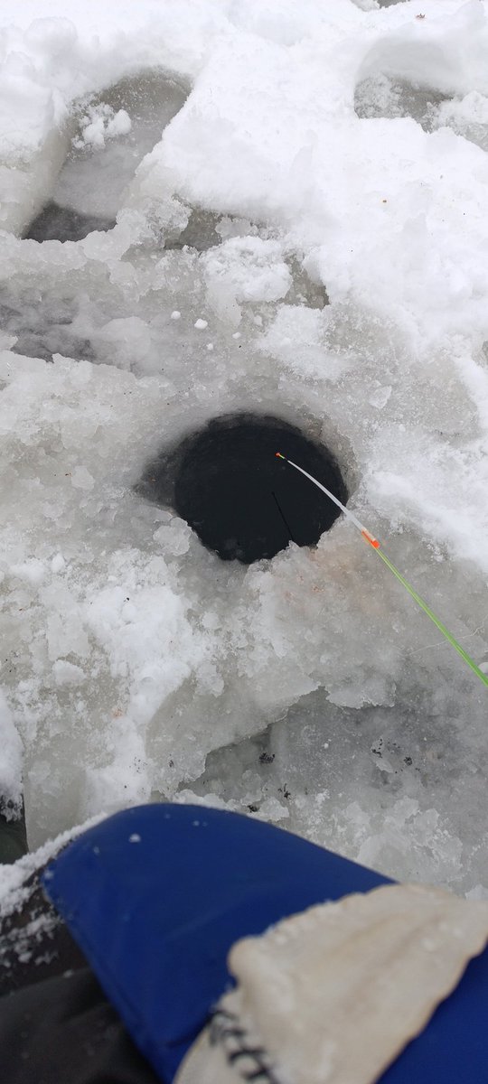 StMedved2's tweet image. Чета чую нихрена мы сегодня не поймаем.