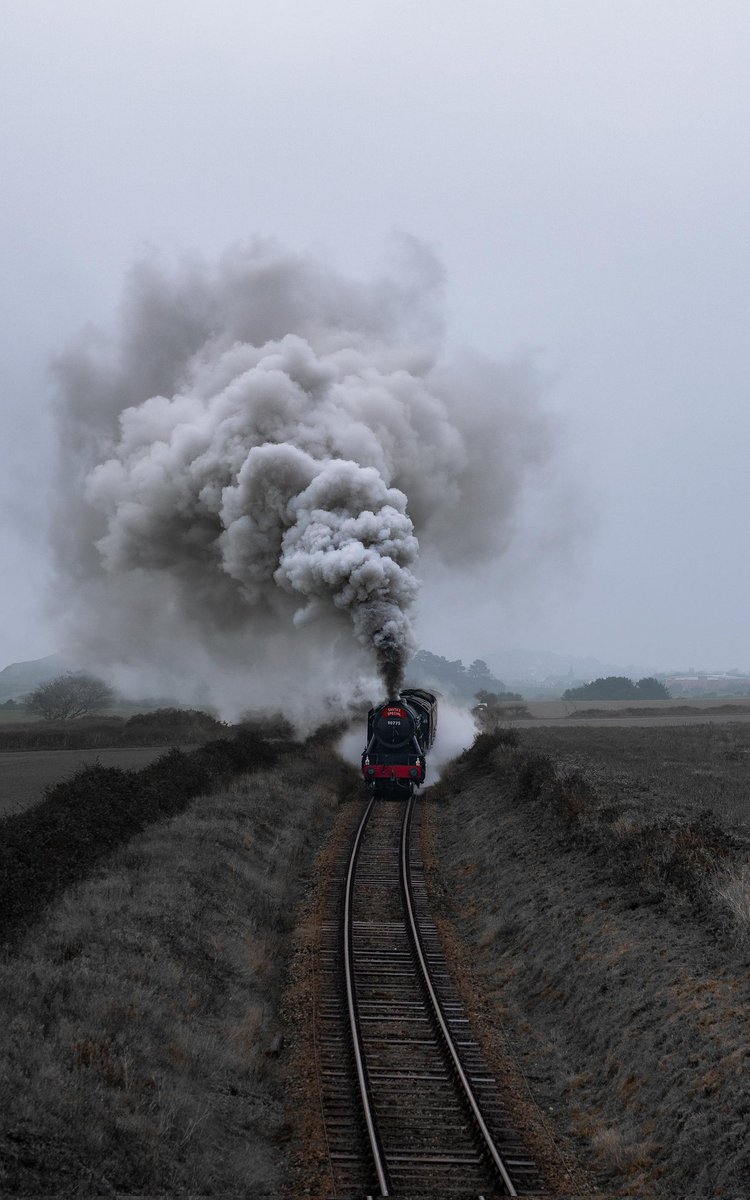 Rose Stephens🕷🐝🕸🐒🦇🐻🦊 tweet media