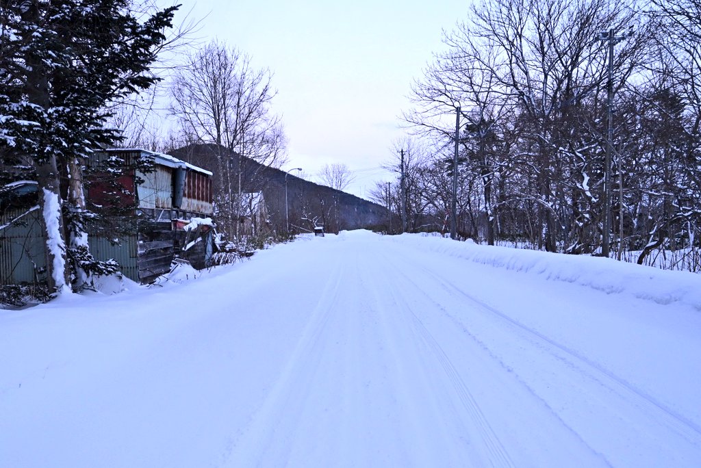 ひろりんページ ひろりん△12/26～12/30 北海道 (@hiroring0323) / Posts / X